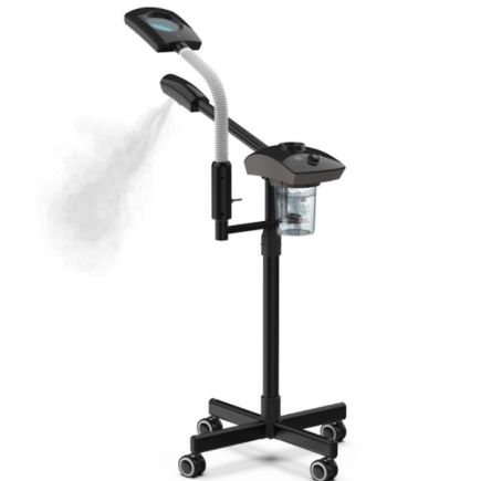 Lotus Mobile 2 in 1 Steamer